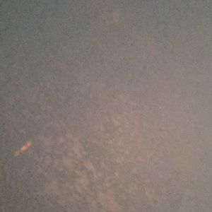 Meet your Posher, Flora